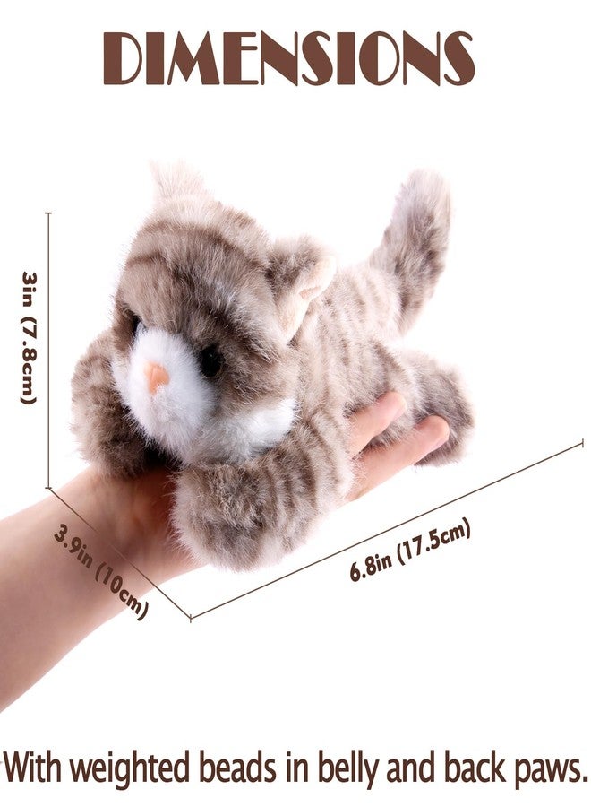 Niceup 3pcs Kitten Stuffed Animal, 7in Small Plush Kitty Cat with Sensory Beans, Pet Adoption Party Favors Black Orange Grey Cat Stuffy Toys for Kids Gift Halloween Décor Christmas Stock Stuffers - Image 4